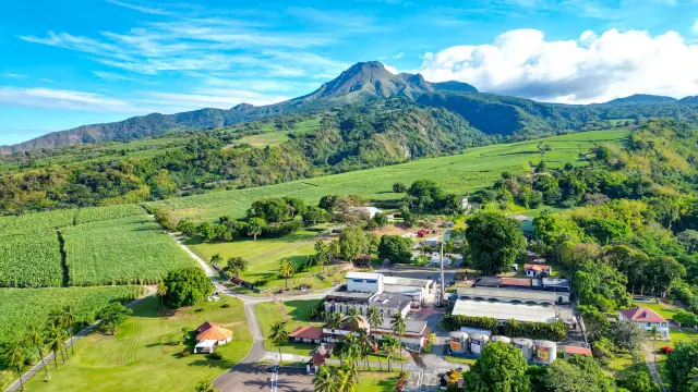 Distilleriedepaz Habitationlamontagne Saintpierre Martinique