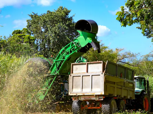 Distilleriedepaz22 Habitationlamontagne Saintpierre Martinique