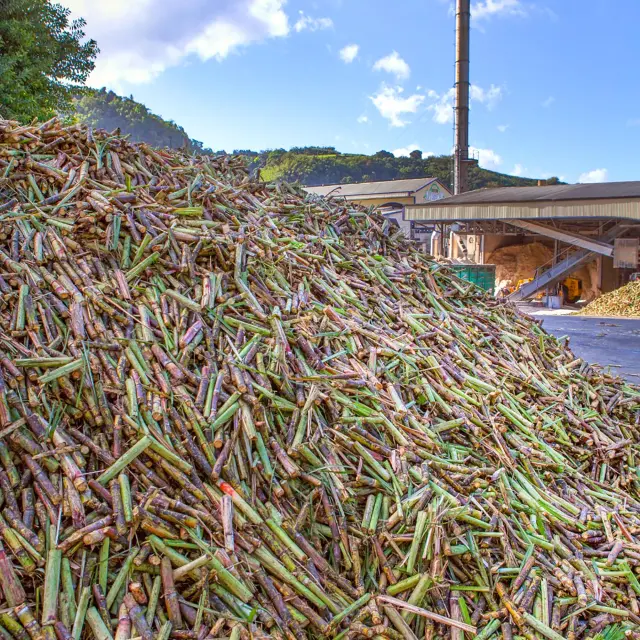 Distilleriedepaz20 Habitationlamontagne Saintpierre Martinique