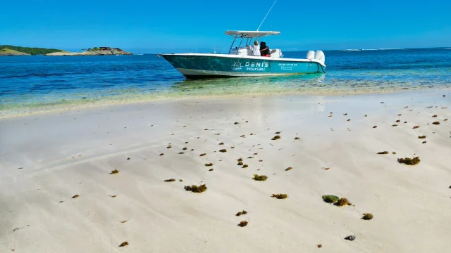 Denisexcursion Plagedeliletlong Francois Martinique