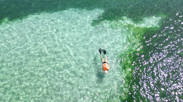 Snorkeling Baignoire de Joséphine François Martinique