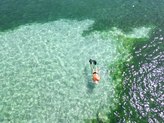Snorkeling Baignoire de Joséphine François Martinique