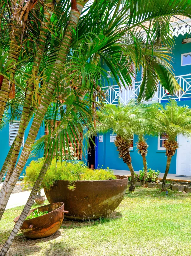 Hôtel Frégate Bleue François Martinique
