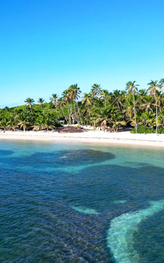 Plage de l'Anse Michel Cap Chevalier Sainte-Anne Martinique