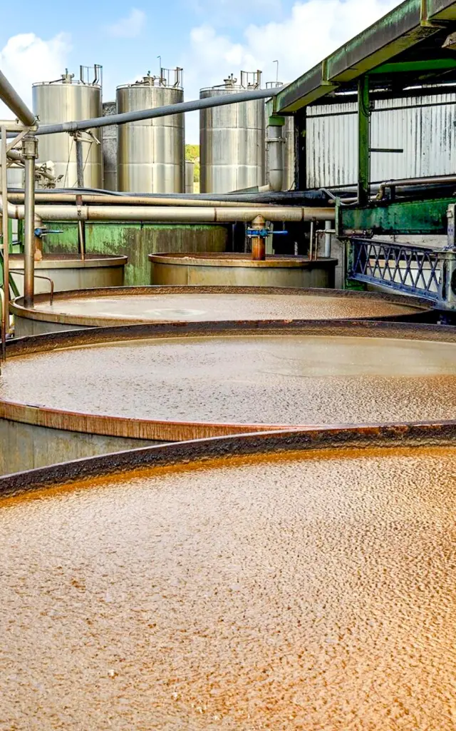 Manufacturerhum Rhumshse Grosmorne Martinique