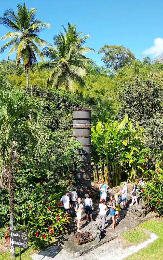 Jardinremarquable6 Habitationsaintetienne Rhumshse Grosmorne Martinique