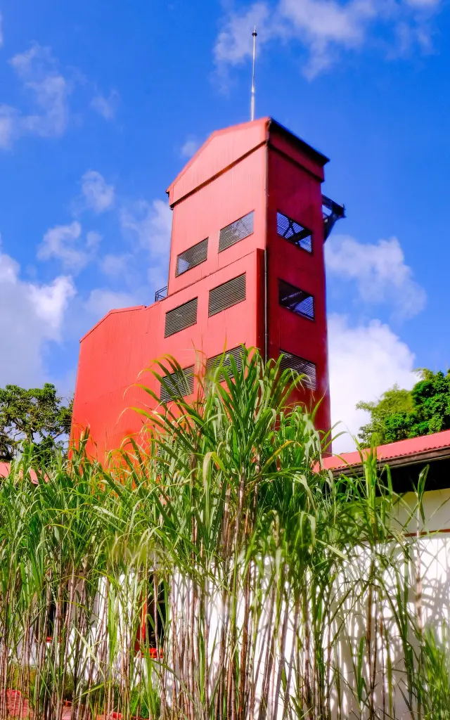 Distillerie JM Distillerie Fond Préville Macouba Martinique