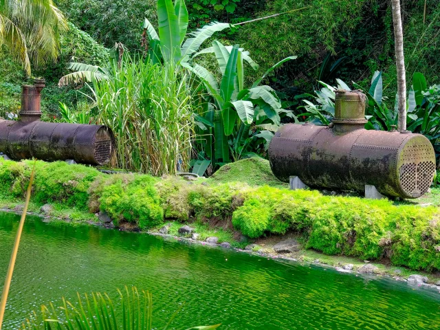 Jardin Distillerie JM Distillerie Fond Préville Macouba Martinique