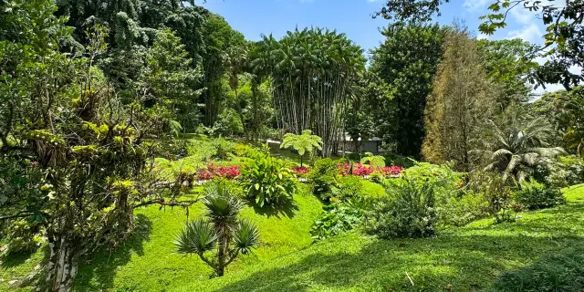 Jardin12 Domainedelemeraude Mornerouge Martinique