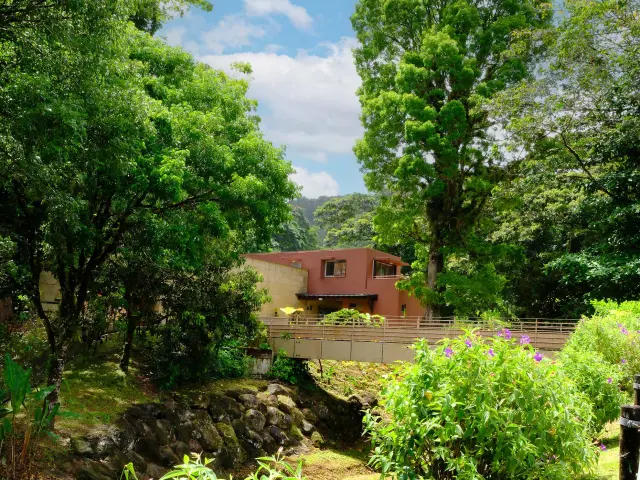 Jardin10 Domainedelemeraude Mornerouge Martinique