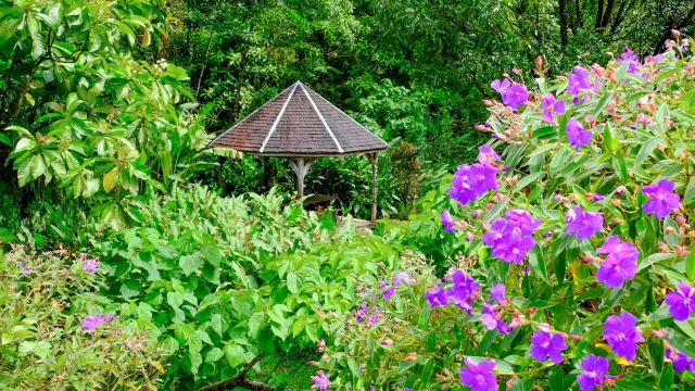 Garden3 Domainedelemeraude Mornerouge Martinique