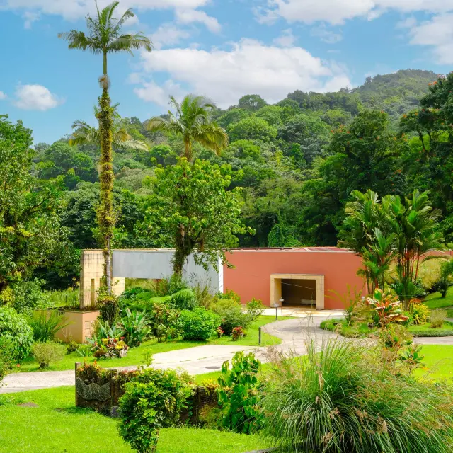 Jardin19 Domainedelemeraude Mornerouge Martinique