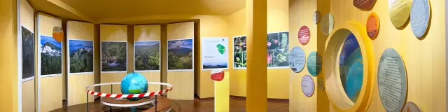 Domainedelemeraude11 Mornerouge Martinique