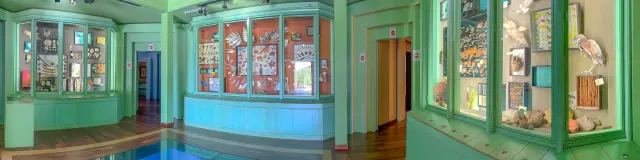 Domainedelemeraude14 Mornerouge Martinique