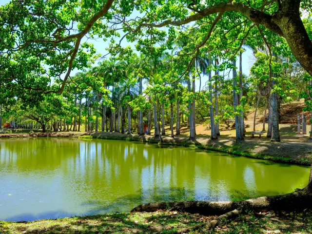 Jardin Habitation Clément François Martinique