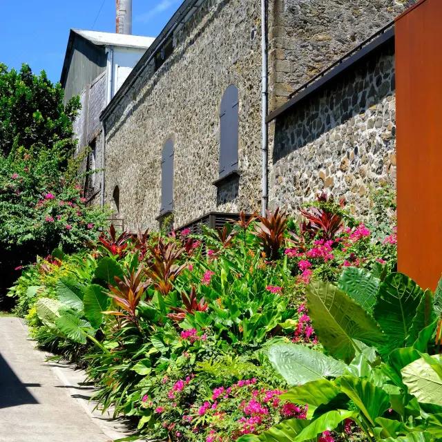 Habitation Clément François Martinique