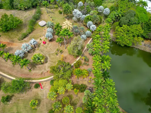 Jardin Habitation Clément François Martinique