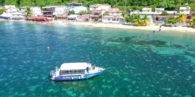 Alphaplongee2 Ansedarlet Martinique