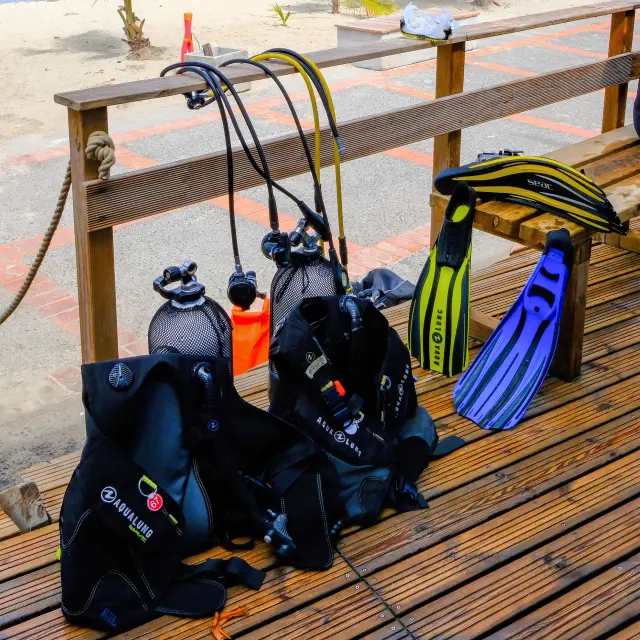 Clubdeplongee2 Alphaplongee Ansedarlet Martinique