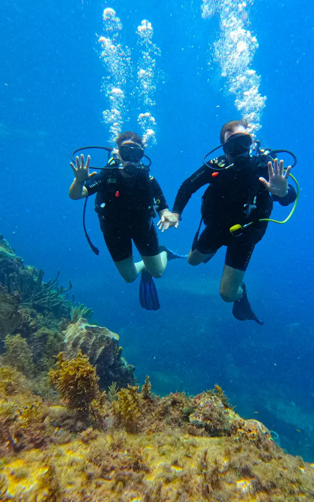 Diver5 Alphaplongee Ansedarlet Martinique