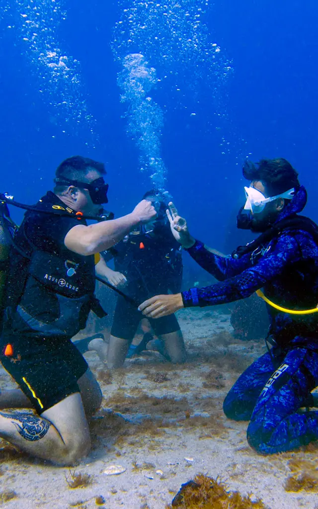 Diver2 Alphaplongee Ansedarlet Martinique