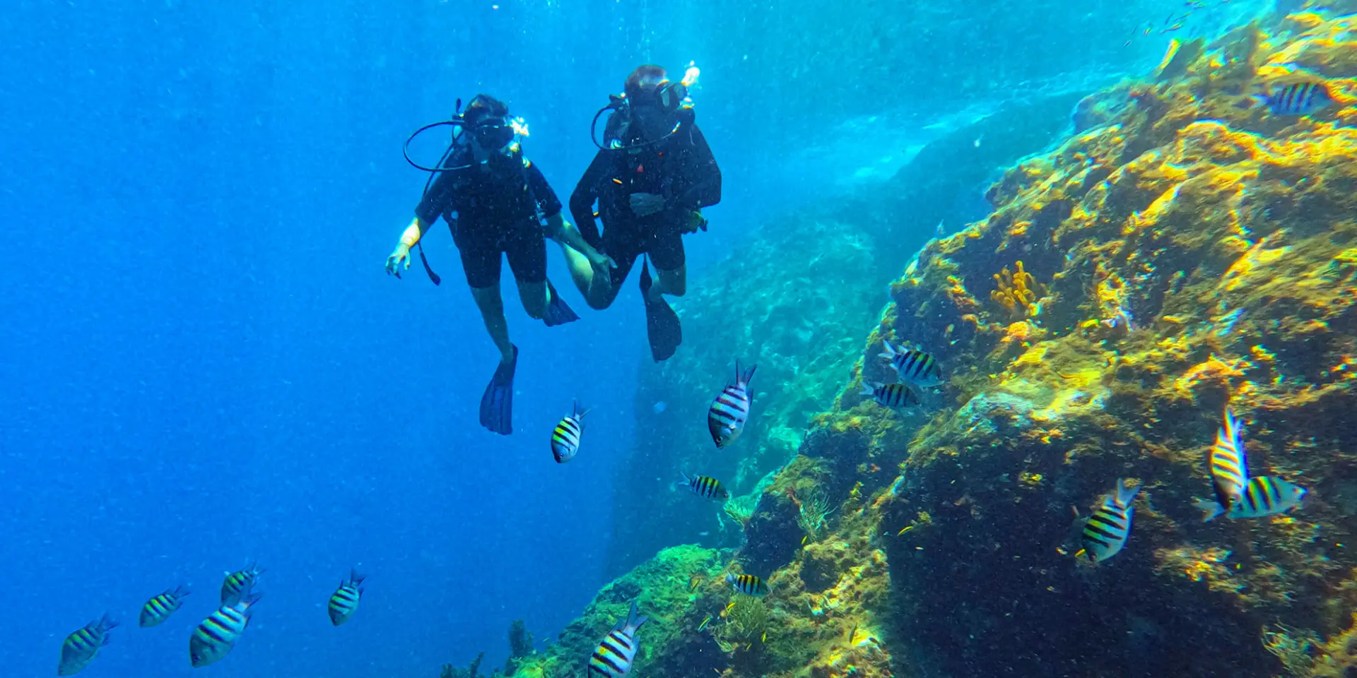 Fondmarin7 Alphaplongee Ansedarlet Martinique