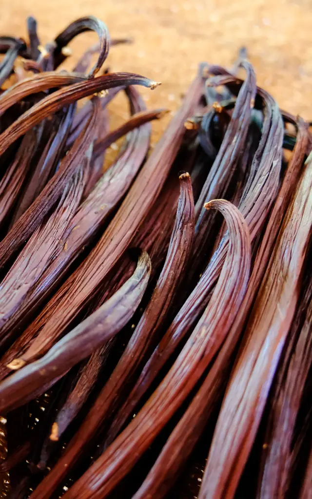 Gousse de Vanille Martinique