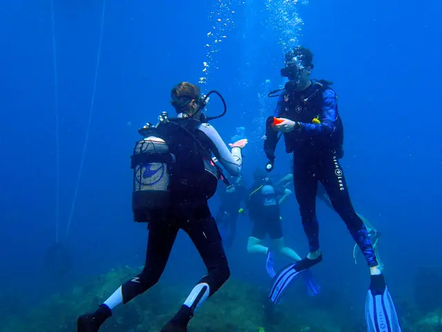 Plongeur Alpha Plongée Anses d'Arlet Martinique