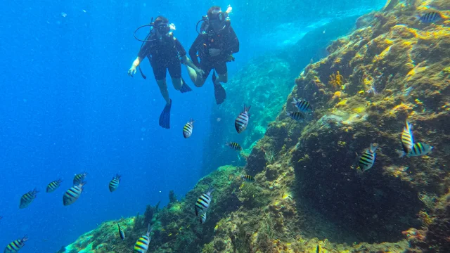 Plongeur Alpha Plongée Anses d'Arlet Martinique