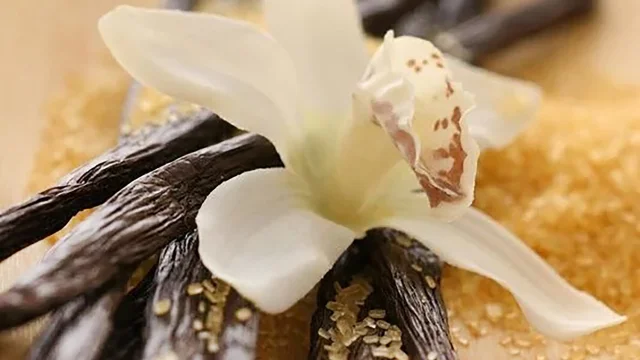 Vanille Martinique