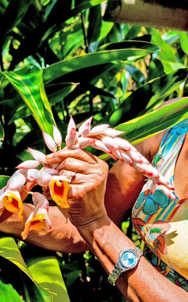 Atoumo Jardin Héritage des îles Saint-Joseph Martinique
