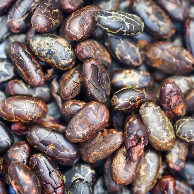 Cacao Héritage des îles Saint-Joseph Martinique