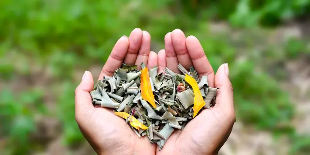 Tisane Héritage des îles Saint-Joseph Martinique