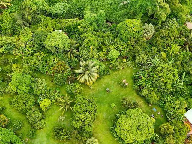 Jardin Kaz à Vanille Trinité Martinique