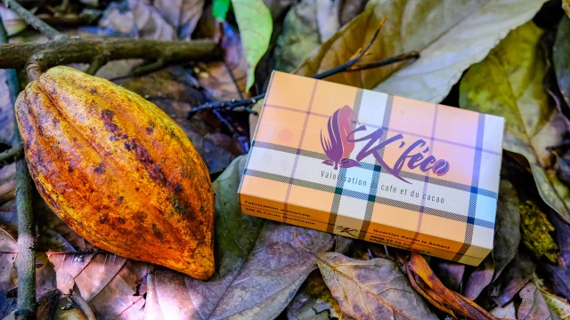 Cacao Tablette de chocolat K'Féco Robert Martinique
