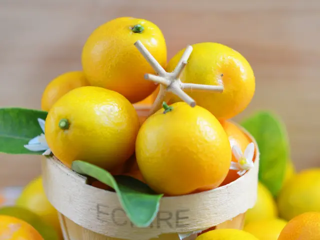 Kumquat Fruit Martinique