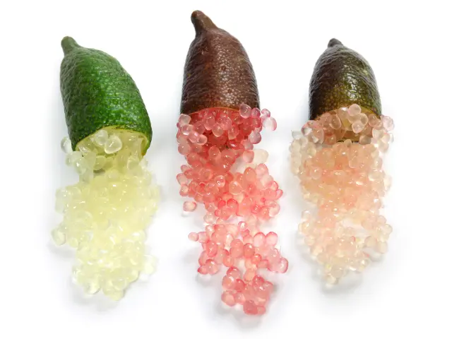 Citron caviar Fruit Martinique