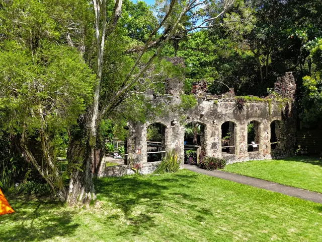 Ruines Maison du Maître Jardin Habitation Latouche Carbet Martinique