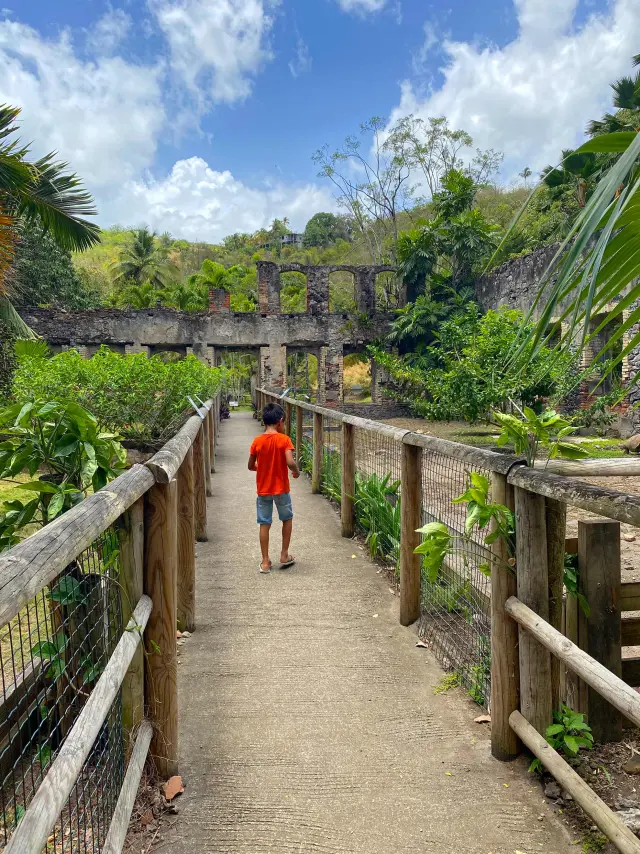 Jardin Zoo Habitation Latouche Carbet Martinique