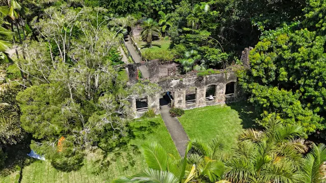 Ruines Maison du Maître Jardin Habitation Anse Latouche Carbet Martinique