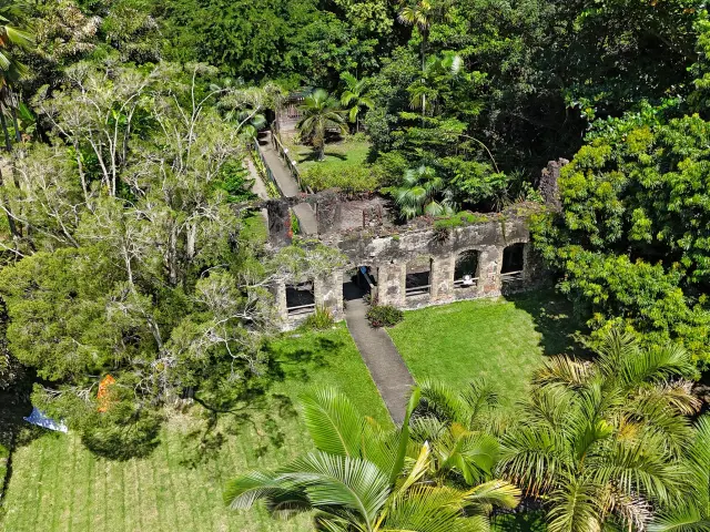 Ruines Maison du Maître Jardin Habitation Anse Latouche Carbet Martinique