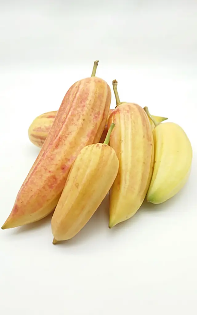 Guajilote2 Fruit Martinique