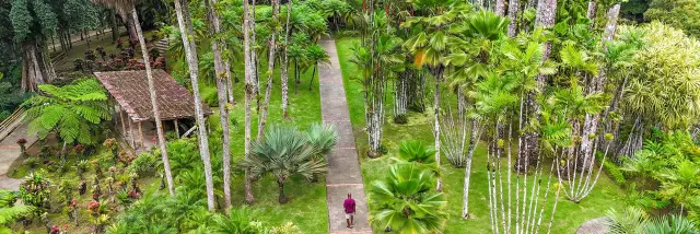 Jardin de Balata Fort-de-France Martinique