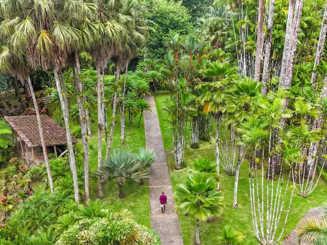 Jardin de Balata Fort-de-France Martinique