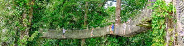 Canopée Le chemin des cimes Jardin de Balata Fort-de-France Martinique