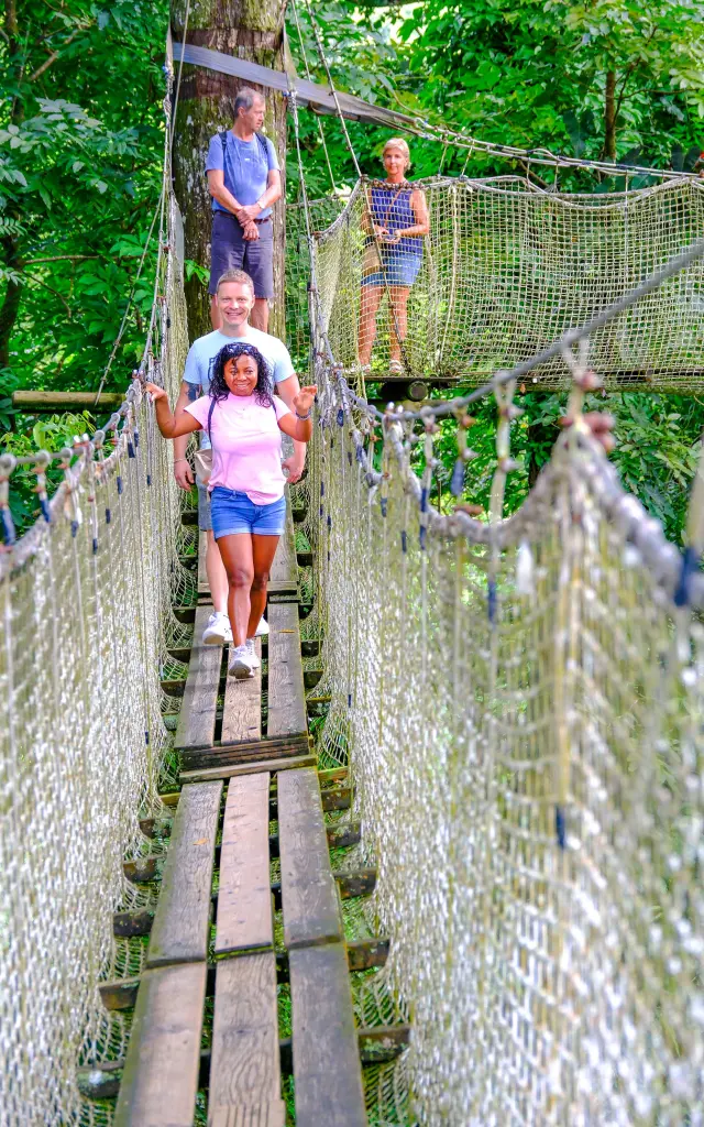 Canopée Le chemin des cimes Jardin de Balata Fort-de-France Martinique