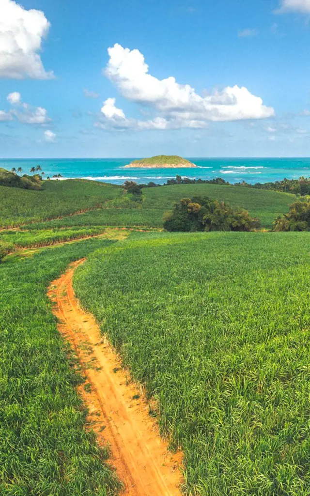 Distillerie Saint James Sainte-Marie Martinique