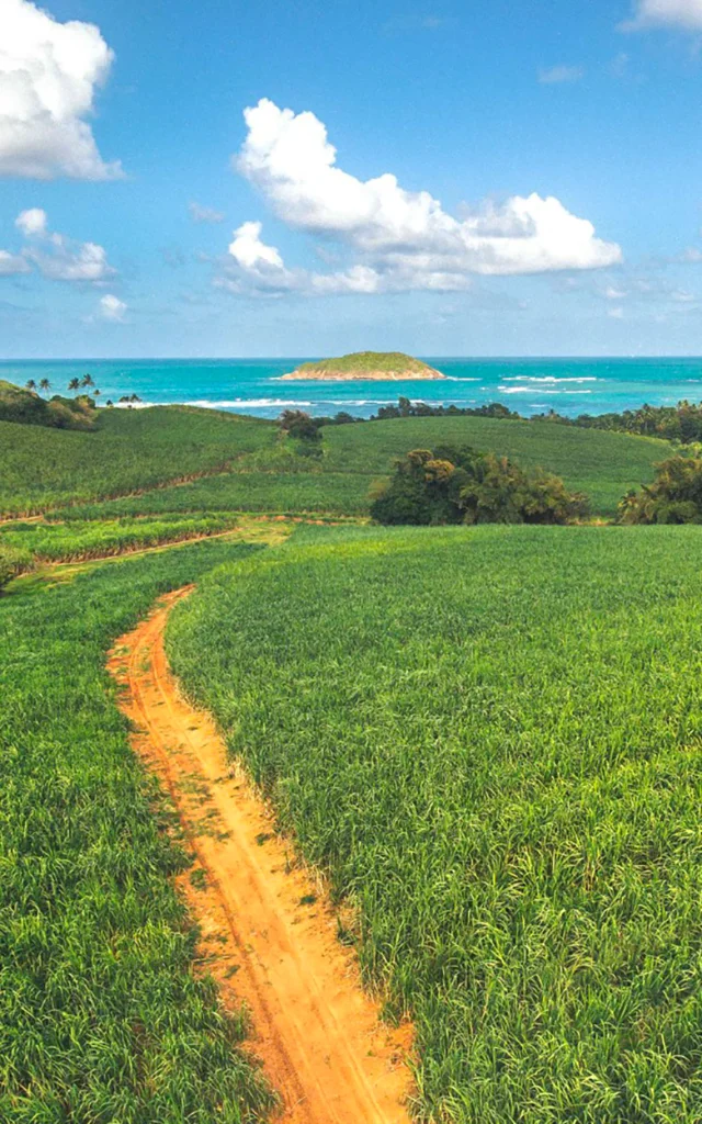 Distillerie Saint James Sainte-Marie Martinique