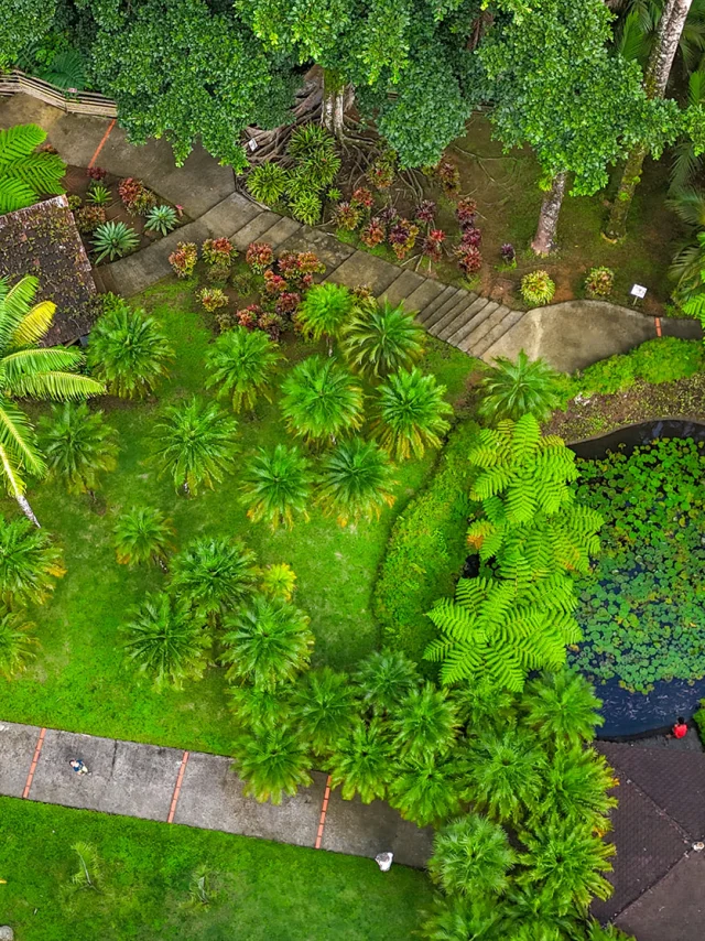 Jardin de Balata Fort-de-France Martinique