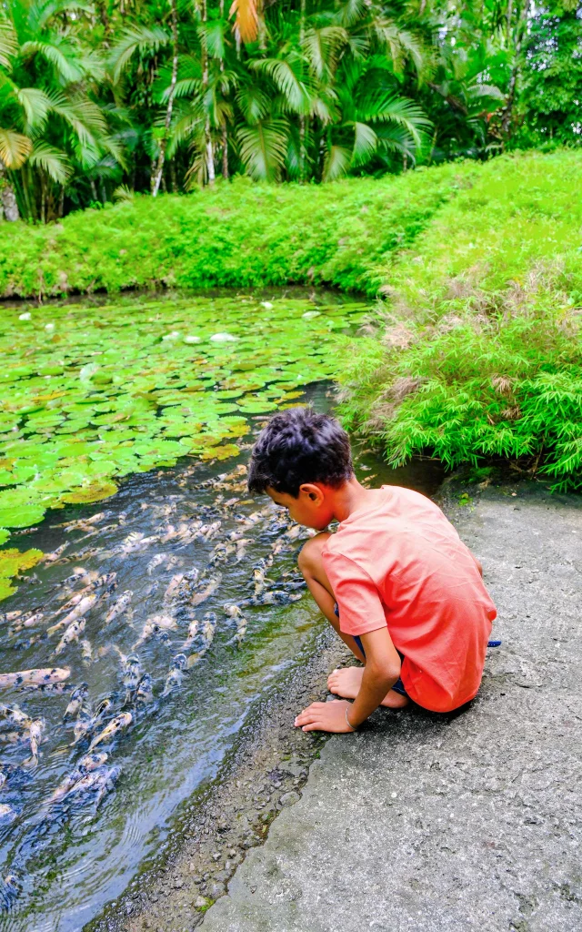 Jardin de Balata Fort-de-France Martinique